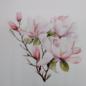 Preview: Bügelbild Magnolie
