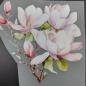 Preview: Bügelbild Magnolie