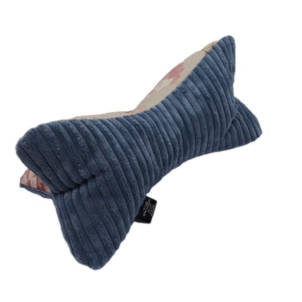 Leseknochen blau Canvas